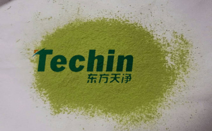 MR好色先生后的植物叶片